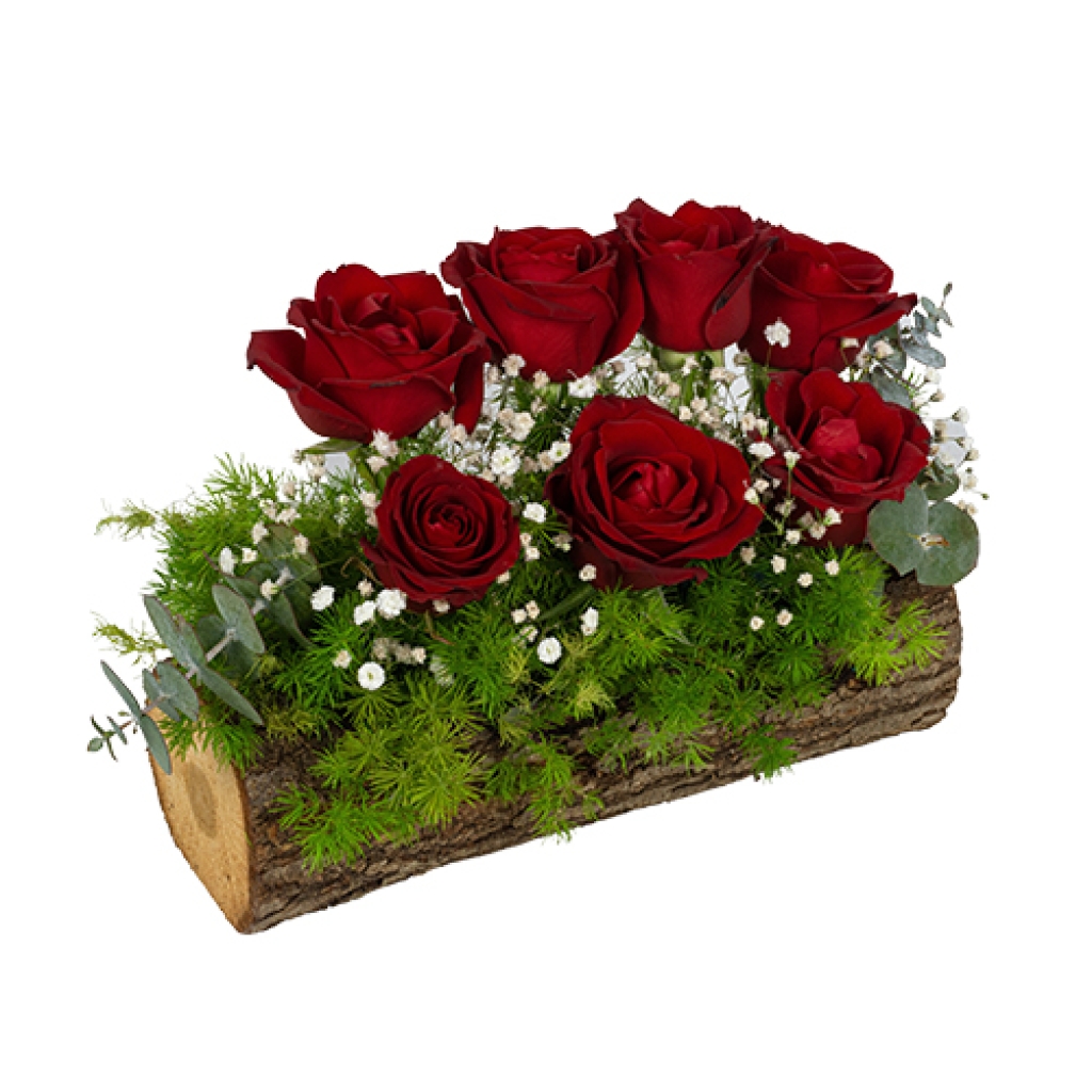  Kütükte Kırmızı Güller (7'li - ~ 17 cm)