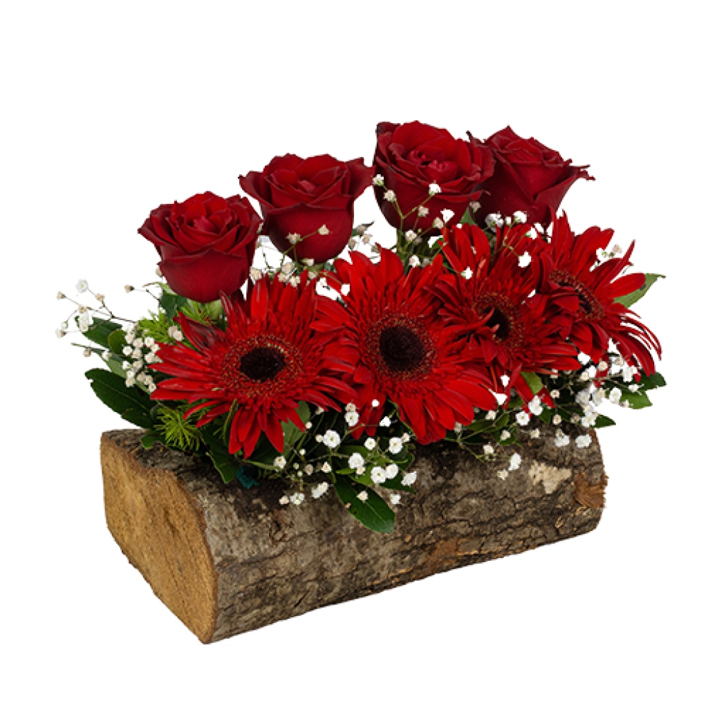  Kütükte Kırmızı Güller ve Gerberalar (4 + 4'lü - ~ 17 cm)